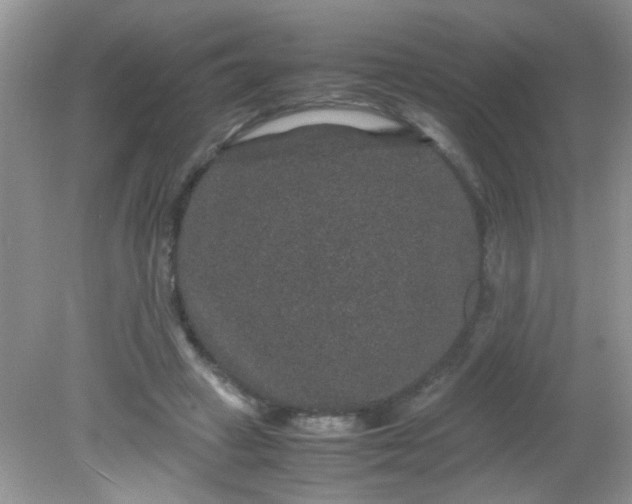 X0000081610449200701291431