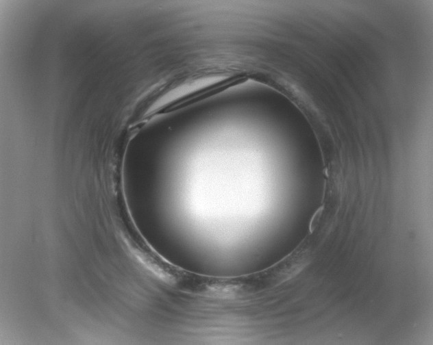 X0000081610450200701291431