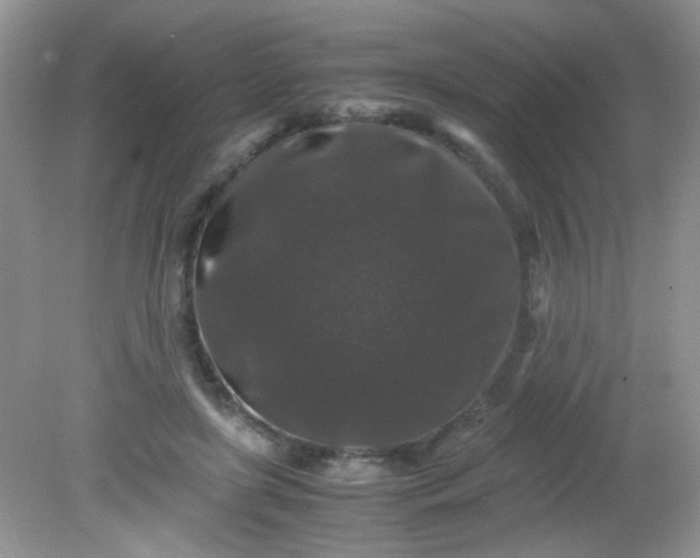 X0000081610451200701291431