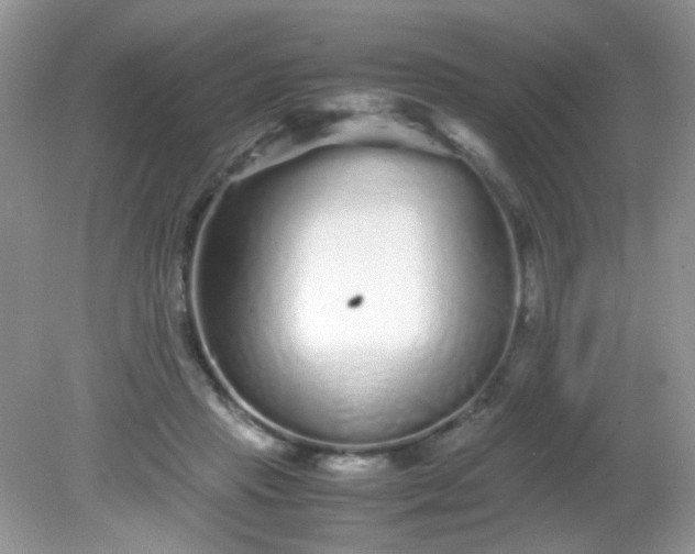 X0000081610453200701291431