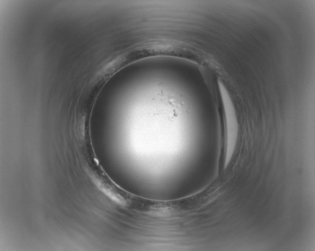 X0000081610454200701291431