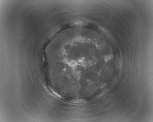 X0000081610459200701291431