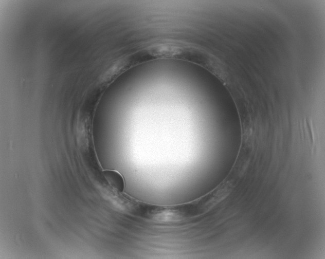 X0000081610460200701291431