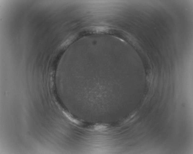 X0000081610462200701291431