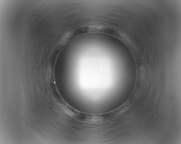 X0000081610463200701291431