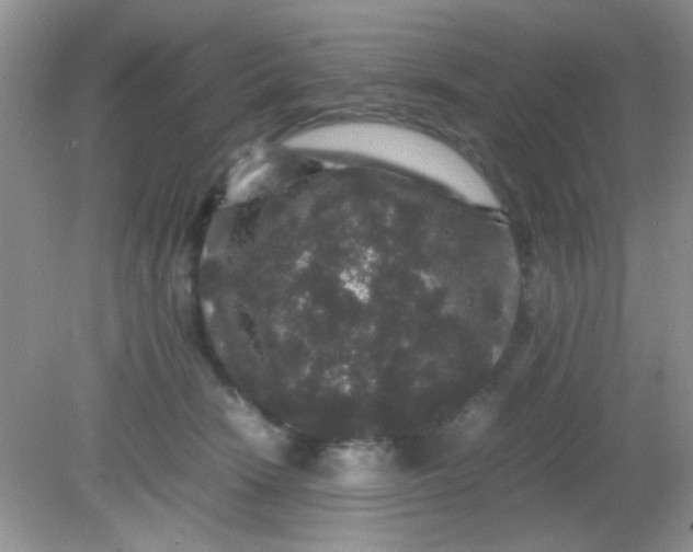 X0000081610466200701291431