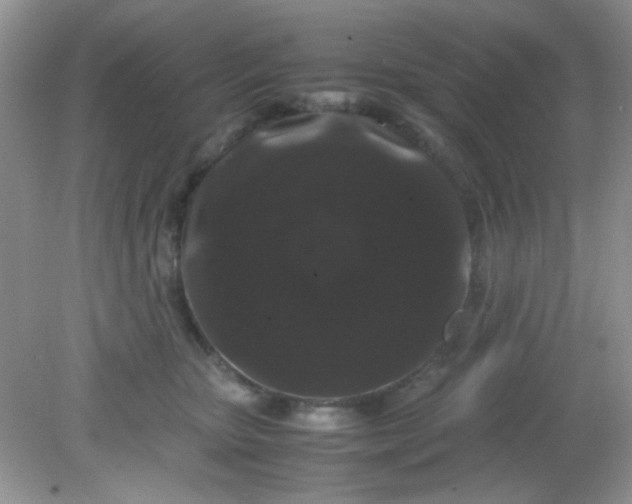 X0000081610467200701291431