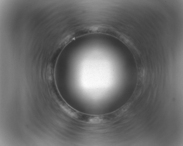 X0000081610470200701291432