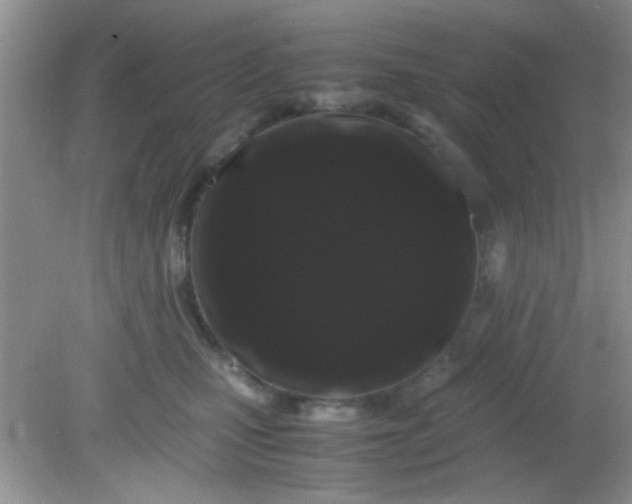 X0000081610471200701291432