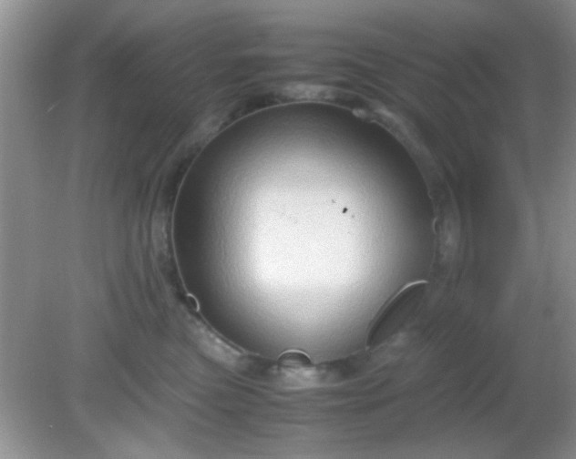 X0000081610473200701291432