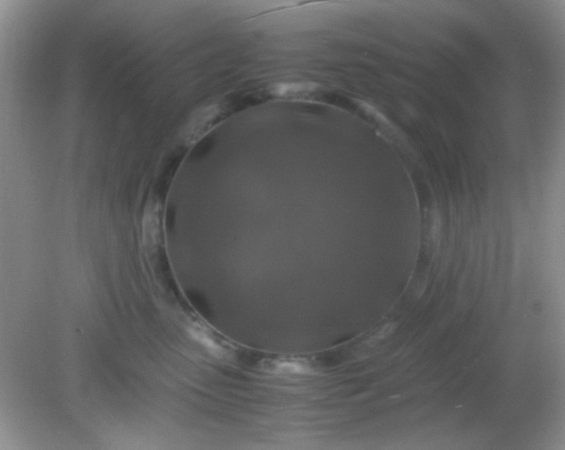 X0000081610475200701291432