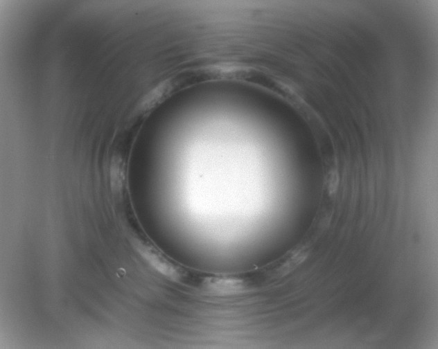 X0000081610476200701291432