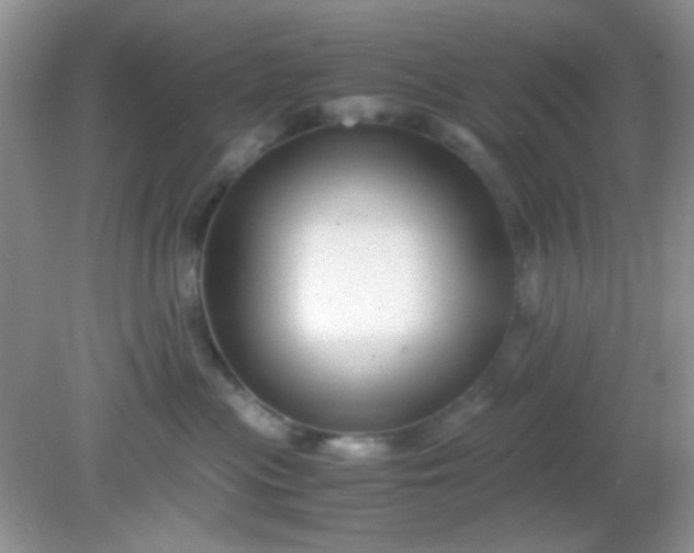 X0000081610477200701291432