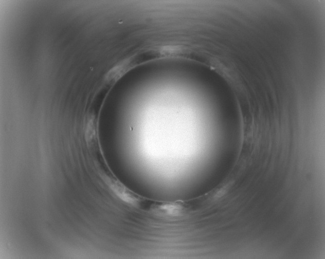 X0000081610478200701291432