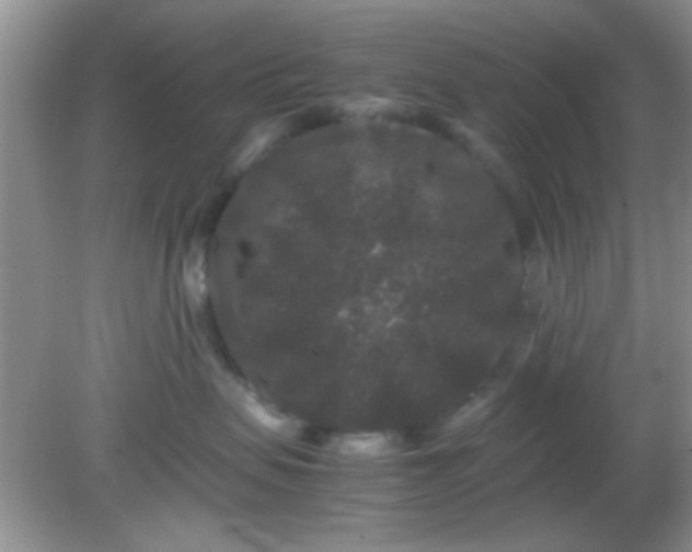 X0000081610479200701291432