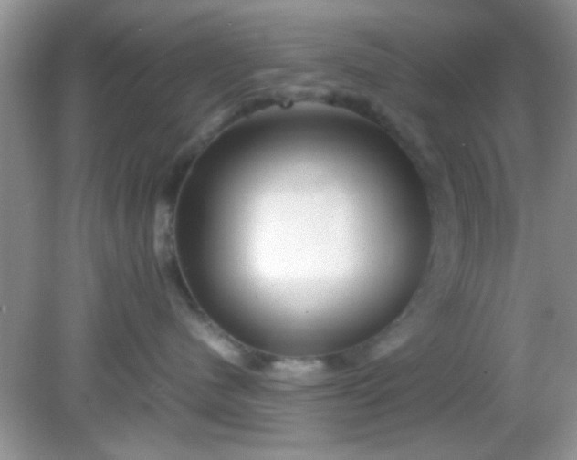 X0000081610480200701291432