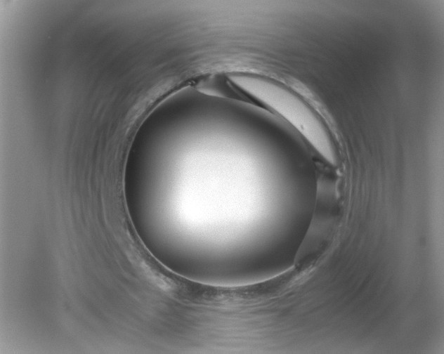 X0000081610481200701291431