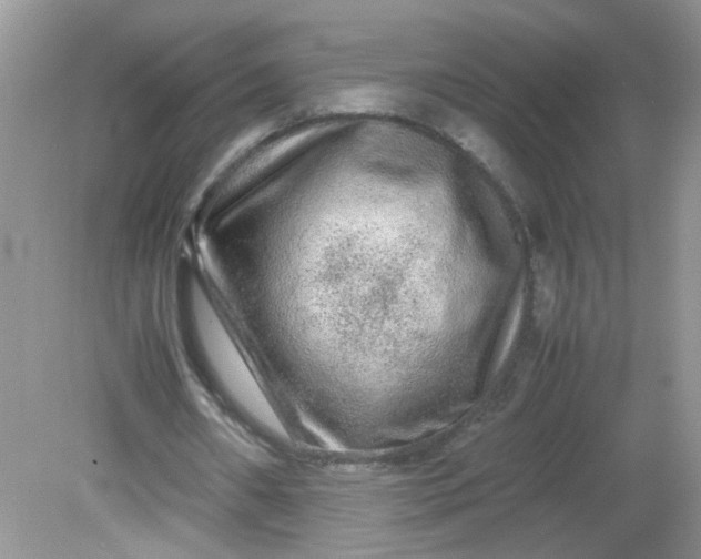 X0000081610482200701291431