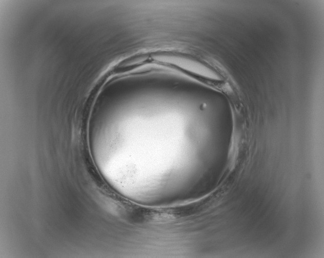 X0000081610483200701291431