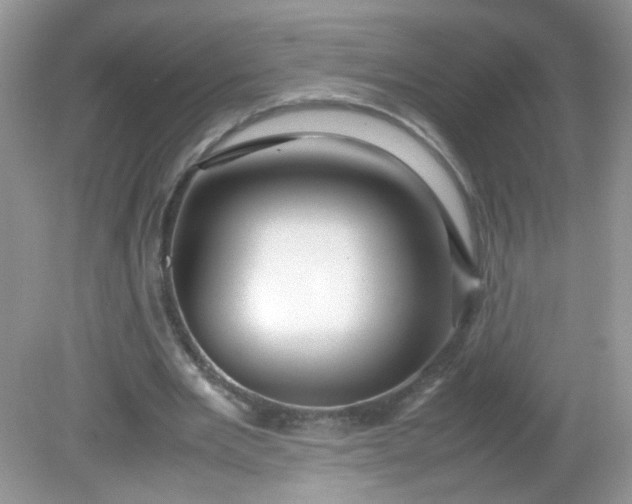 X0000081610485200701291431