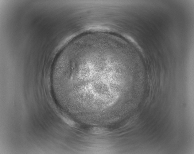 X0000081610487200701291431