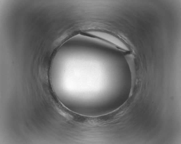 X0000081610489200701291431