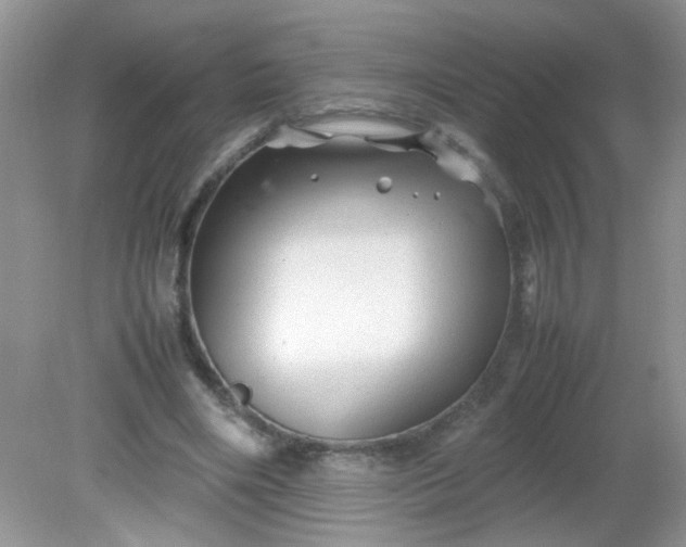 X0000081610490200701291431