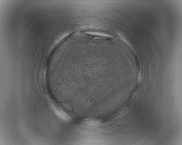 X0000081610491200701291431