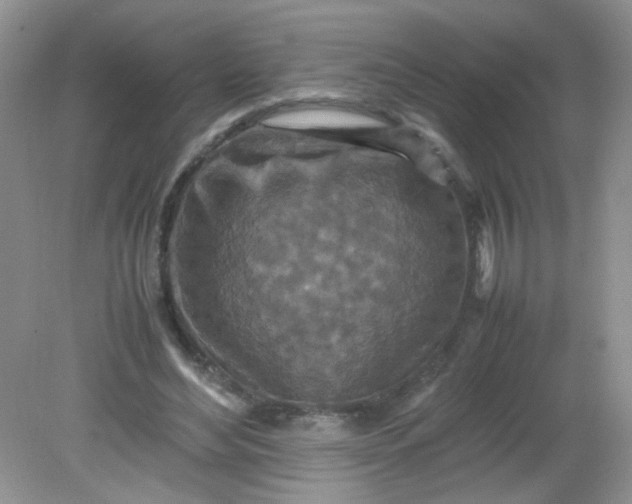 X0000081610492200701291431