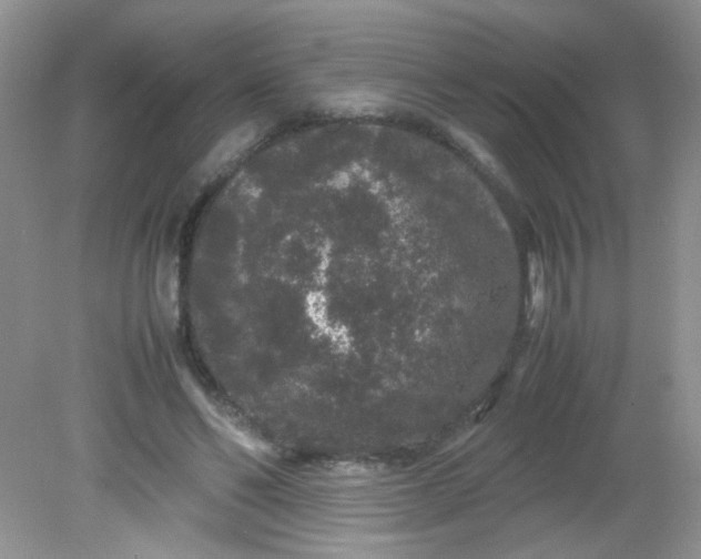 X0000081610494200701291431