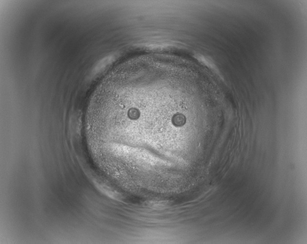 X0000081610495200701291431