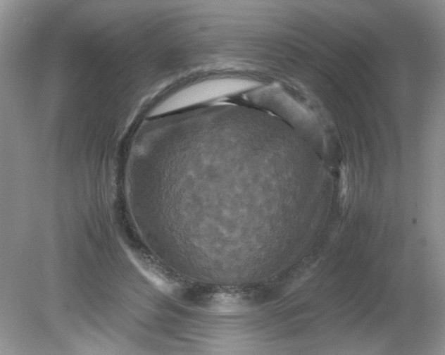 X0000081610496200701291431