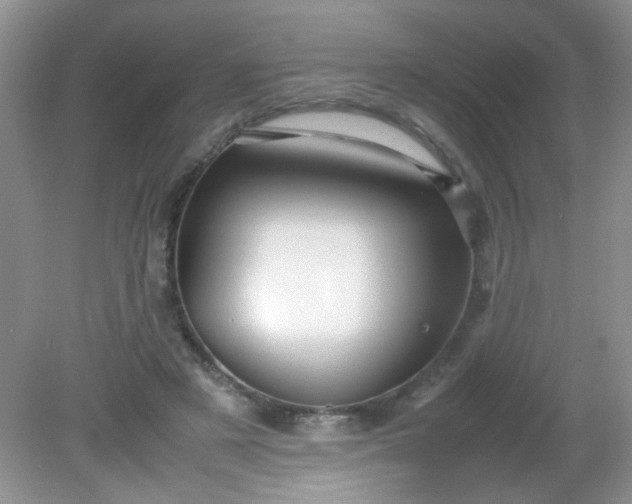 X0000081610497200701291431