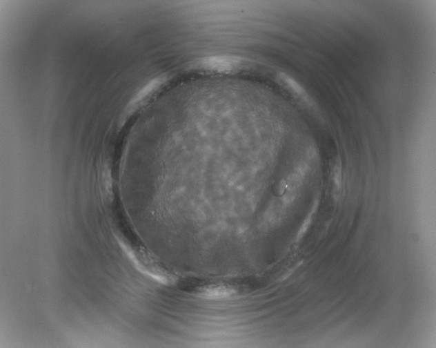 X0000081610500200701291431