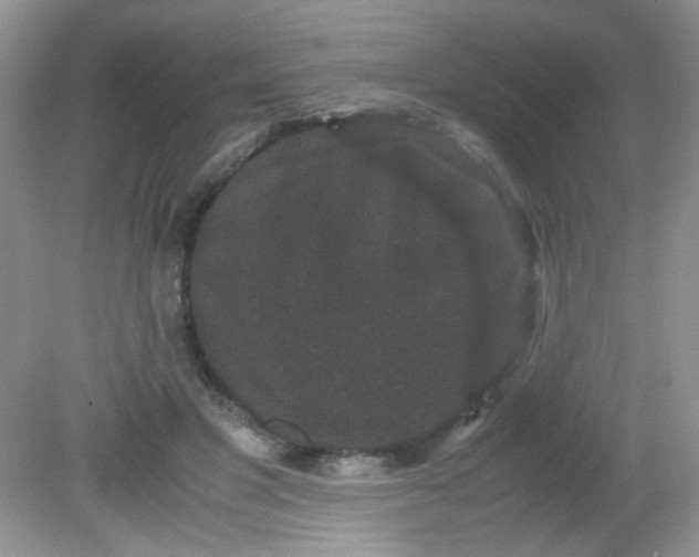 X0000081610501200701291431