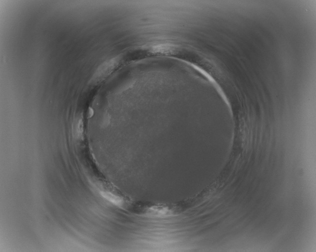 X0000081610502200701291431