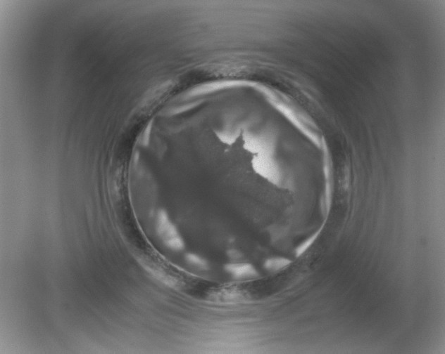 X0000081610503200701291431