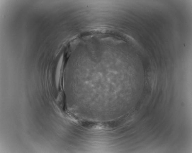 X0000081610504200701291431