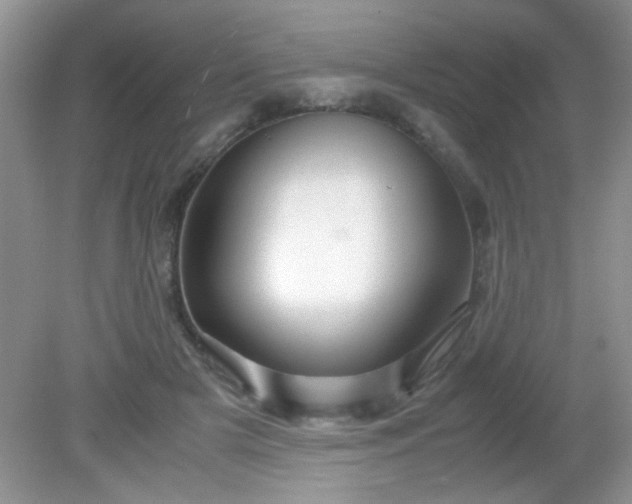 X0000081610505200701291431