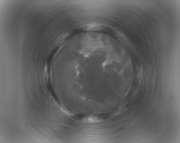 X0000081610506200701291430