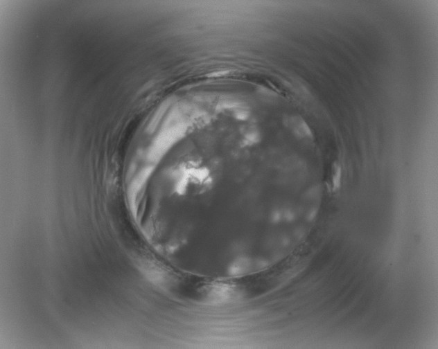 X0000081610507200701291430