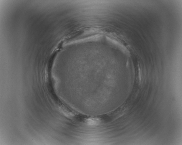 X0000081610508200701291430