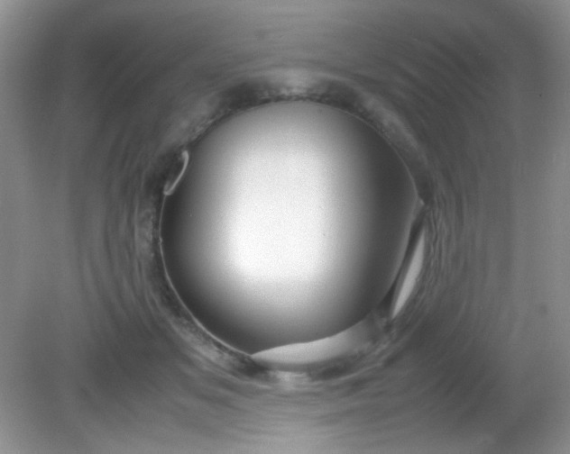 X0000081610509200701291430