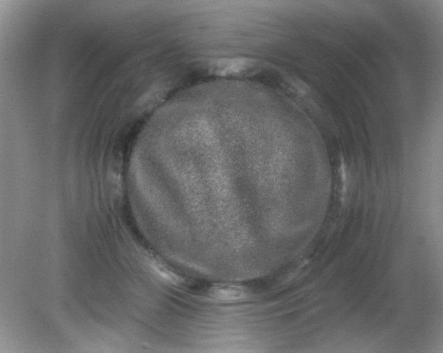 X0000081610510200701291430