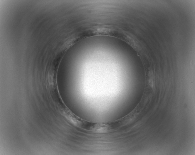 X0000081610514200701291430