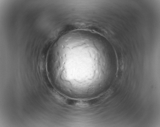 X0000081610515200701291430