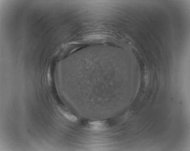 X0000081610516200701291430