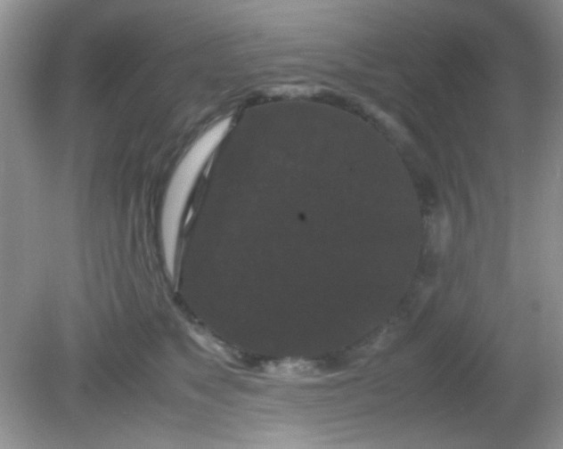 X0000081610517200701291430