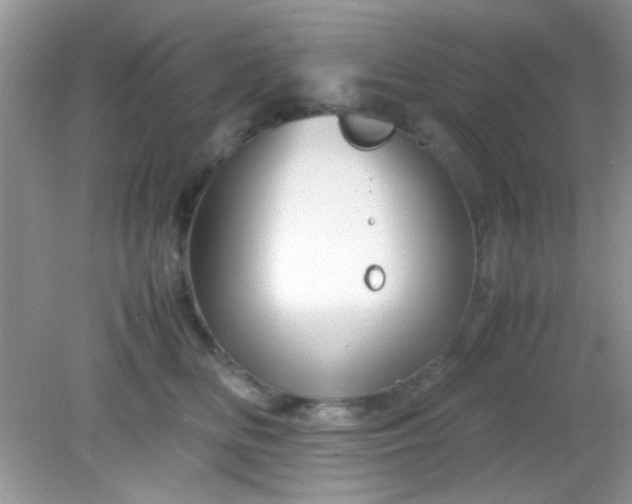 X0000081610518200701291430