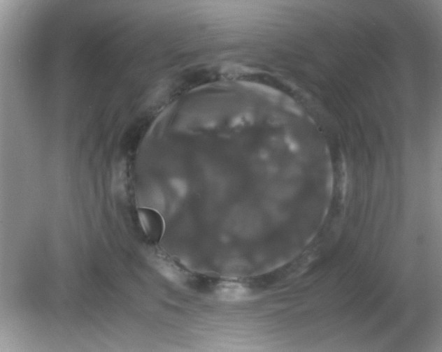 X0000081610519200701291430